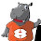 Hutto Driving School