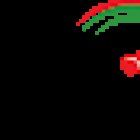 Corso Driving School, LLC