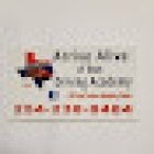 Arrive Alive of Texas Driving Academy