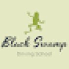 Black Swamp Driving School