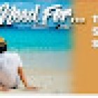 Feel the Need Traffic School