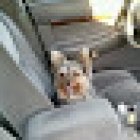 Student Drivers School Corporation