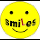 Smiles Driving School