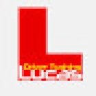 Lucas Driver Training