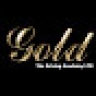 Gold The Driving Academy - Bournemouth