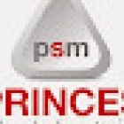 Princes Driving School