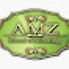 AMZ Driving Lessons Dudley