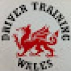 Driver Training Wales
