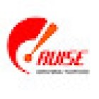 Cruise Driving Tuition