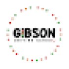 Gibson Driving School. Manual and Automatic Driving Lessons