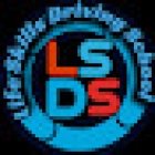 Life Skills Driving School