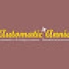 Automatic Annie Driving School