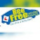 Bee Free Driving School