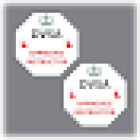 Phil Robinson Driver Trainer