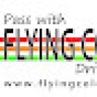 Flying Colours Driver Training