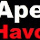 Apex Havoc Motorcycle Training