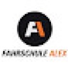 Fahrschule Alex in Ulm