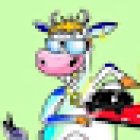 Fahrschule Petzold *Auto- und Motorradfahrschule*