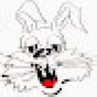 Fahrschule Haas, Inh. Stefan Nöller