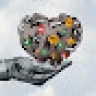 Autoscuola Forte Braschi