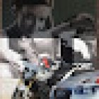 Au.Ri.Port Sas di Sonzin Stefano & C.