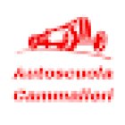 Autoscuola Cammalleri