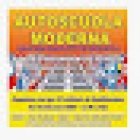 Autoscuola Moderna Bari