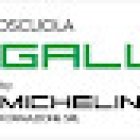 Autoscuola Galli by Michelini