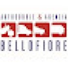 Autoscuola Agenzia Bellofiore Gricignano Aversa