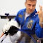 Autoscuola Agenzia Tuderte Srl