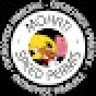 Driving School Cusset Speed Permis