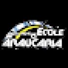 Driving School Araucaria