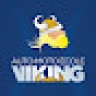 Viking Driving School