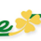 Auto Moto Ecole Le Trefle