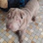 Driving School Le Rond Point 83