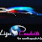 Driving School Ligne De Conduite