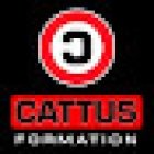 Cattus Formation
