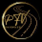 Driving School Pfv Conduite