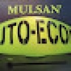 Mulsan'auto School