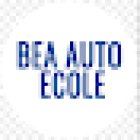 Bea Driving School François