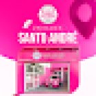 Mulheres Habilitadas - Santo André