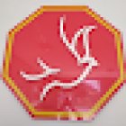 Autoescola Radar Goianésia - Cat. A B C D E | Carteira de motorista | auto escola | Renovação