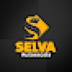 Autoescola Selva Pintolândia (1ª habilitação, Adição, Categoria D, Categoria E, Renovação e Cursos)