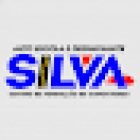 Auto Escola e Despachante Silva