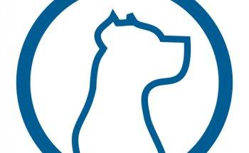 Detectives Privados Toledo - Doverty