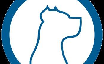 Detectives Privados Cuenca - Doverty