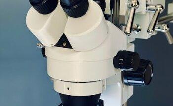 Perito Calígrafo Sevilla - Tartessos