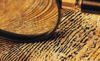 Detectives en Barcelona,Detectives De Las Heras, Detectives Para Empresas y Particulares,