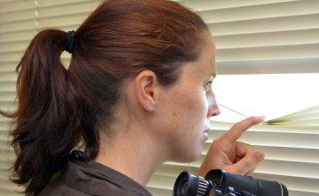 Private Detective Agency