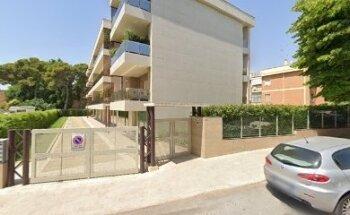 Zeni Group Investigation